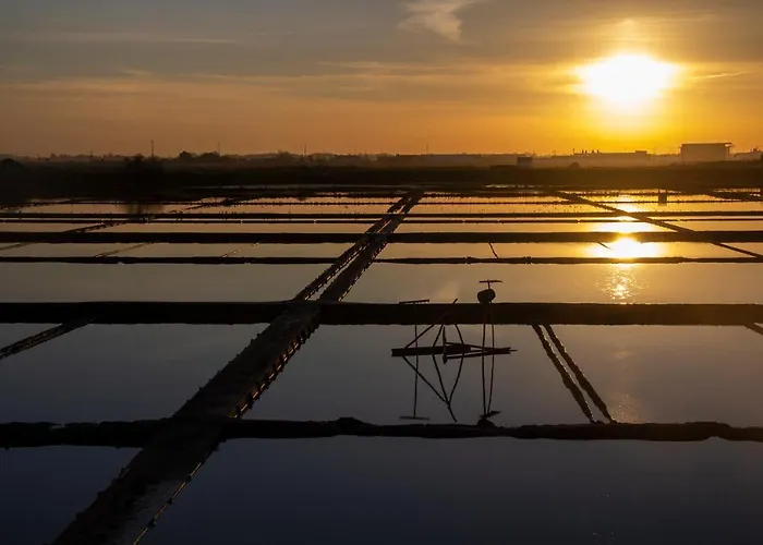 Casa Falcoeiras - Al Com Vista Ria * Aveiro